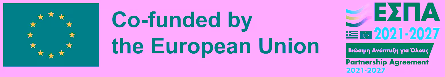 NSFR 2021-2027 visual id